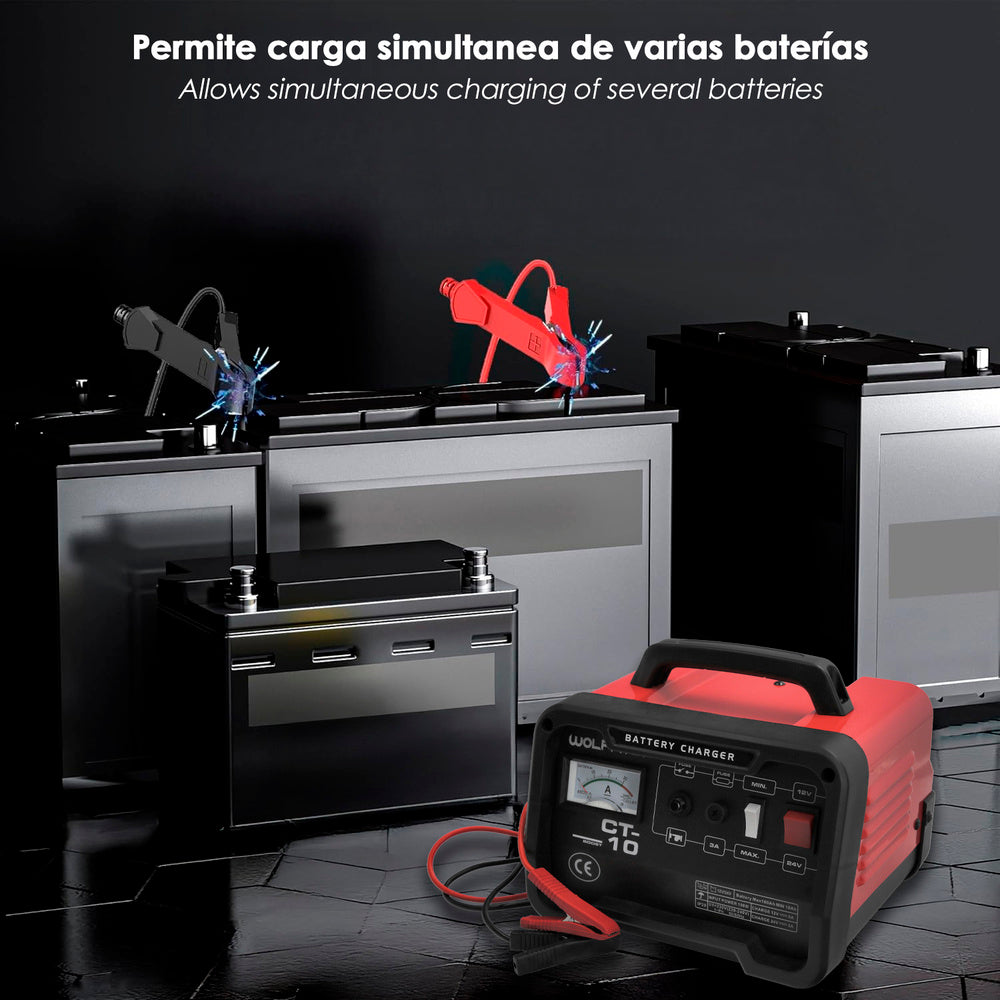 Carga Baterias 12/24V 10-100Ah
