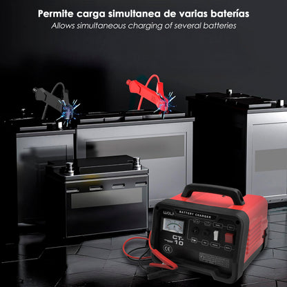 Carga Baterias 12/24V 10-100Ah