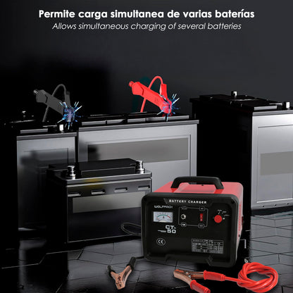 Carga Baterias 12/24V 30-350Ah Con Arrancador