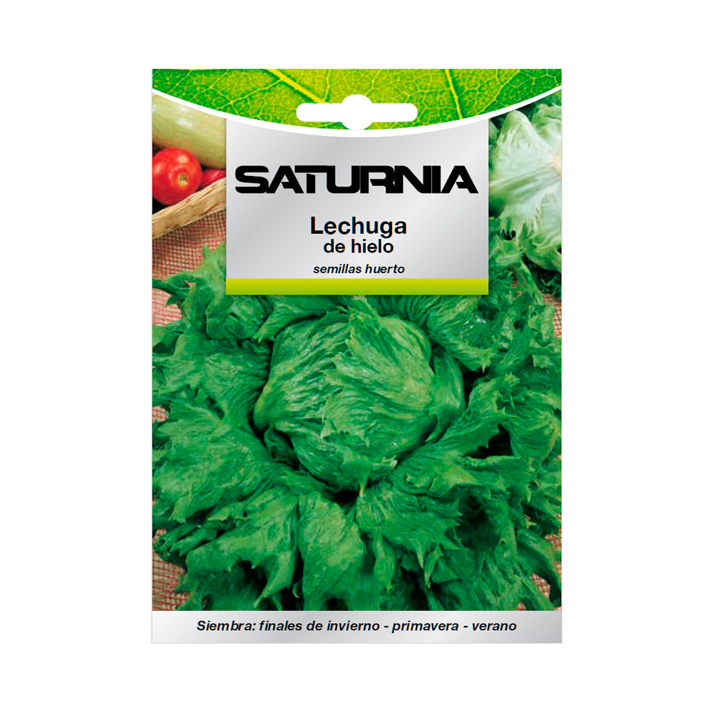 Semillas Lechuga Reina Del Hielo (7 gramos) Semillas Verduras, Horticultura, Horticola, Semillas Huerto.