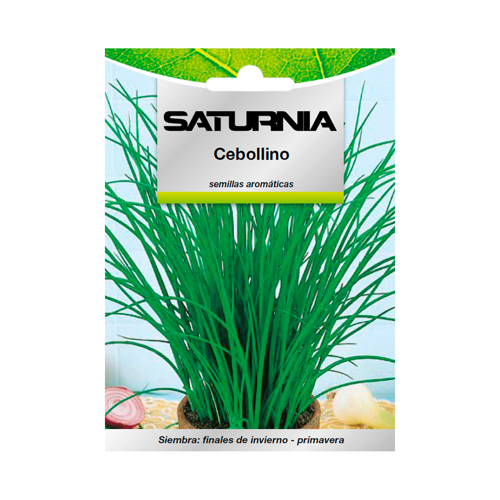 Semillas Aromaticas Cebollino (1 gramo) Horticultura, Horticola, Semillas Huerto.