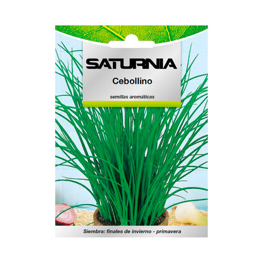 Semillas Aromaticas Cebollino (1 gramo) Horticultura, Horticola, Semillas Huerto.