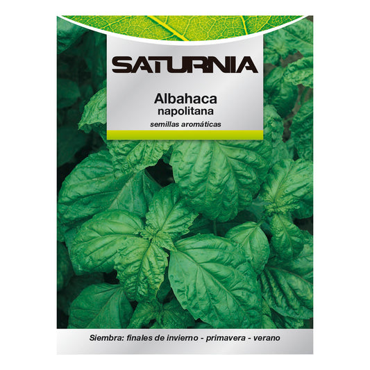 Semillas Aromáticas Albahaca Gigante (5 gramos) Horticultura, Horticola, Semillas Huerto.