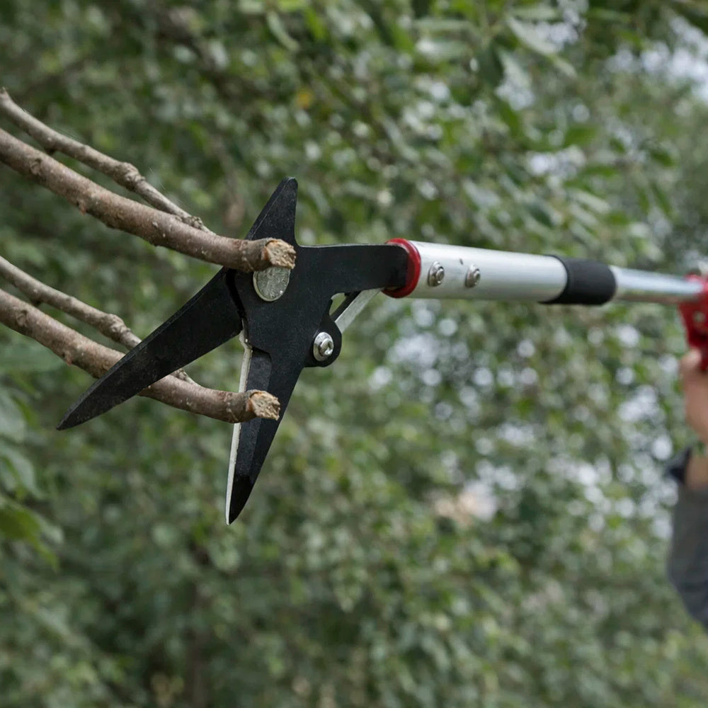 Pertiga Podar Wolfpack Mango Aluminio 180 cm.